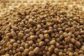 Fish Feed - Nutritional Ruby Red Blend for Ornamental and Tropical Fish, Premium Quality Care