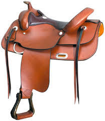 Horse Saddlery