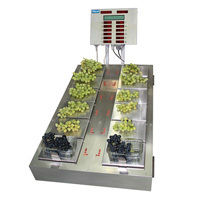 Grape Punnet Scale / Grape Packaging Scale