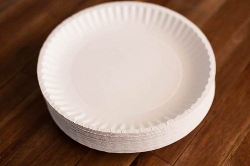 Paper Plate