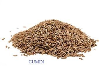 Fresh Cumin