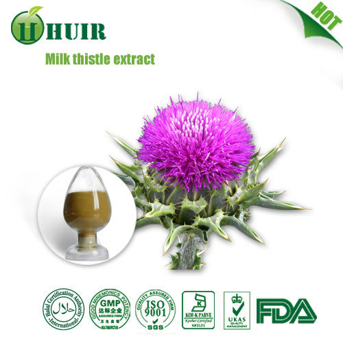 Yellow Fine Powder Milk Thistle Extract