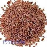 Psyllium Seed
