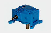 Adaptable Output Vertical Worm Reduction Gear Boxes