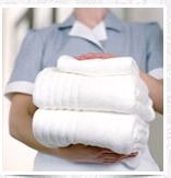 White Cotton Terry Towels