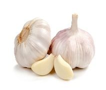 Fresh Garlic