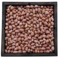 Java Peanuts