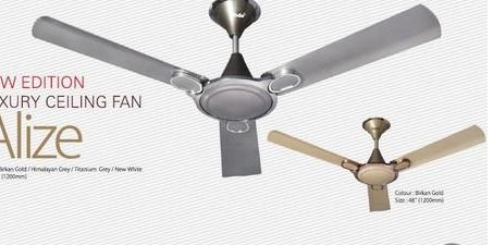 Luxury Ceiling Fan