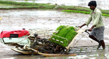 Rice Transplanter - Robust Build, Hydraulic Operation Facility | Korean Technology, 1 Acre in 2 Hours, 25% Increased Productivity, Water Pump Attached