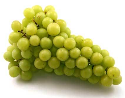 100% Fresh Green Grapes Fruit