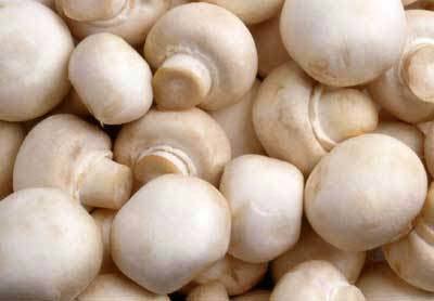 Food Grade White Color Button Mushroom