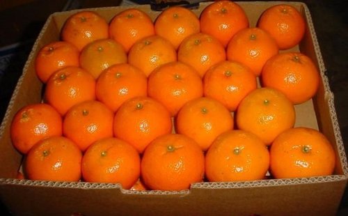 Natural Fresh Orange Fruit