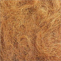 Coconut Fiber