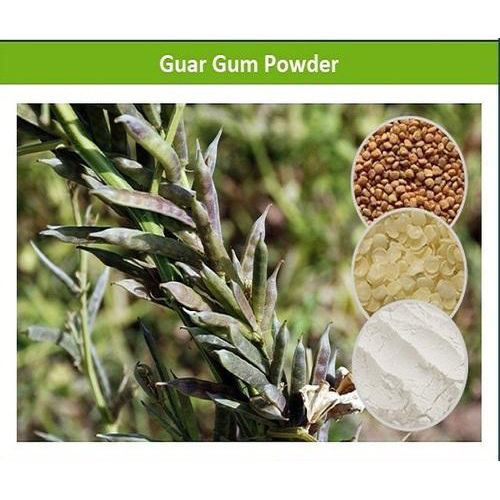 Food And Industrial Grade Guar Gum Powder