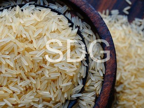 Golden Masoori Rice - Enriched Nutrients, Freshness & Long Shelf Life | Ideal for Diverse Culinary Uses