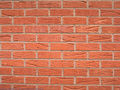 Interlocking Bricks - High Compressive Strength, Acid Resistant, Crack Resistant, Accurate Dimensions, Highly Durable