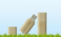 Wooden Pen Drive - Eco-Friendly Natural Wood Design | Simple and Stylish, Perfect for Environment Protection