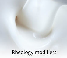 Rheology Modifier