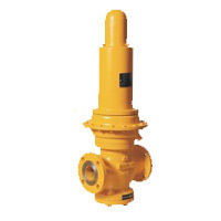 Safety Valves & Systems