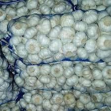 Fresh White Garlic - Superior Quality Garlic Bulbs | Rich Aroma, Ideal for Various Cuisines