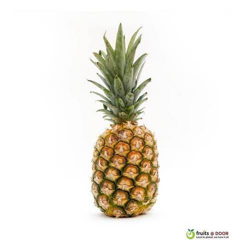 Pineapple Fruit