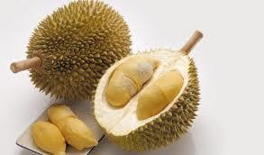 Fresh Durian