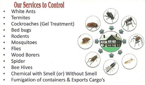 RKB Pest Control Services