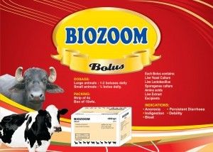 Cattle Care Biozoom Bolus