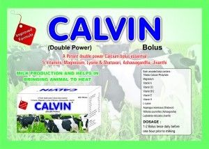 Cattle Care Calwin Bolus
