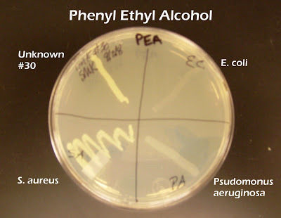 Phenyl Ethyl Alcohossl