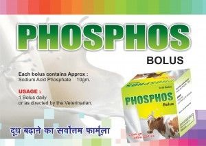 Phos Phos Bolus