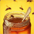 Fresh Organic Honey