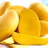 Banganapalli Mangoes