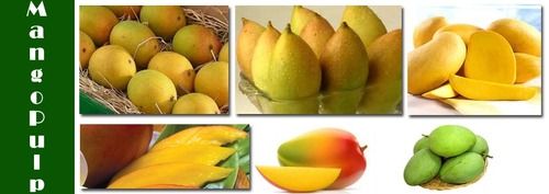Mango Pulps Juices