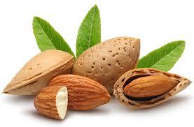 Natural And Fresh Almonds