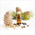 Cedar Wood Oil 