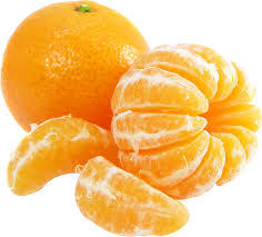 Farm Fresh Orange