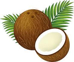 Fresh Coconut - Organic, Natural Processing Without Fertilizers or Pesticides | Rich in Taste, Hygienic, High in Protein, Longer Shelf Life