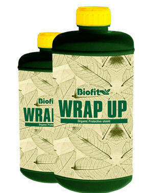 BioFit Wrap Up