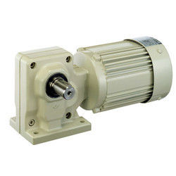 R Worm Gear Motors