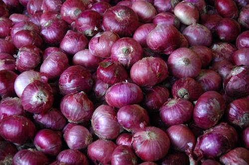 Red Onion