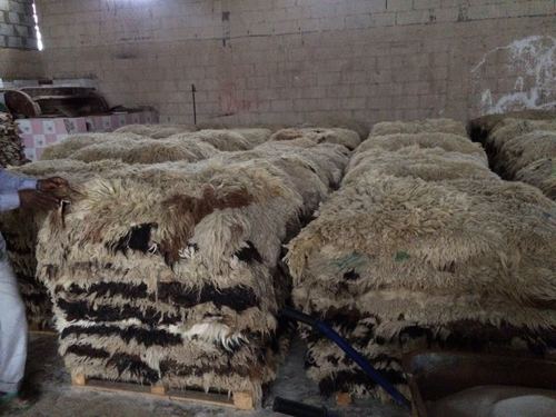 Tanned Sheep Hides