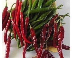 Alva F1 Hot Pepper Red Chilly