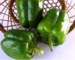 Sawan F1 Sweet Pepper