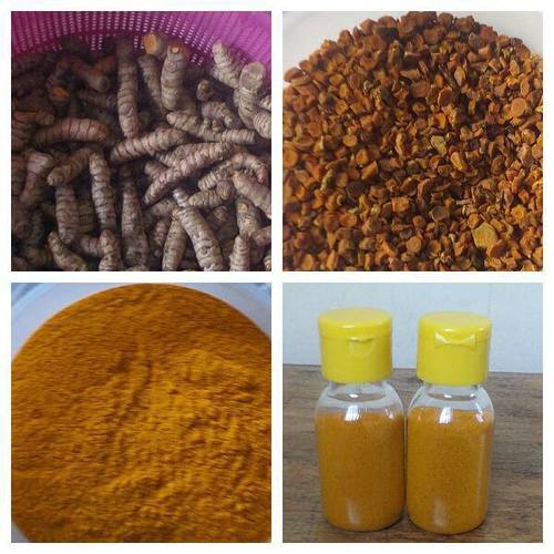 Turmeric And Turmeric Powder