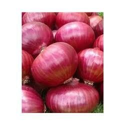 Fresh Red Onions