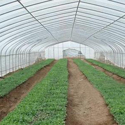 Greenhouse Liner