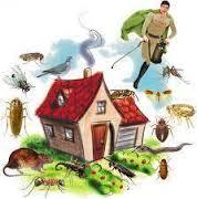 Herbal Pest Control Service By Sahar Pest Solutions