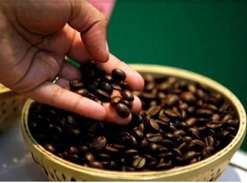 Roasted Coffee Beans