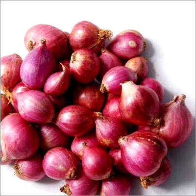 Fresh Red Fresh Onion